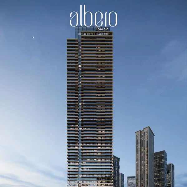 Albero preview 5